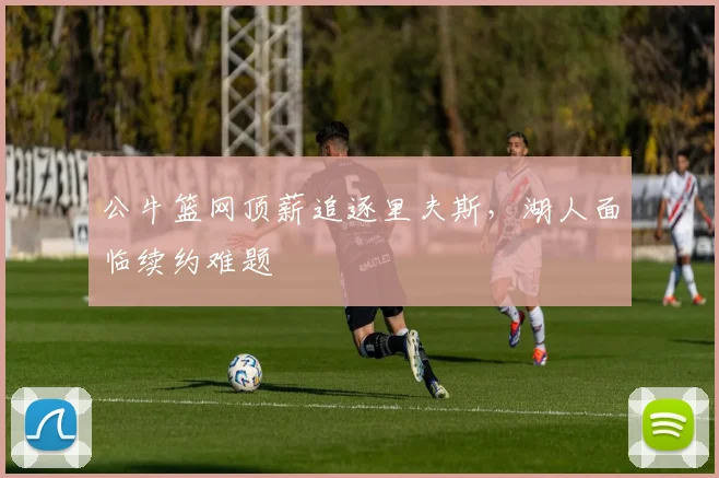 公牛篮网顶薪追逐里夫斯，湖人面临续约难题